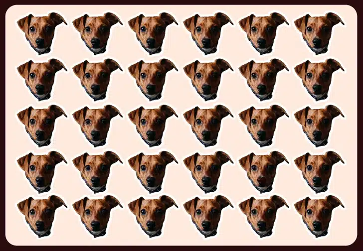 Encontre o cachorro fora do padrão, Desafio visual com múltiplas cabeças de cachorro marrom organizadas em padrão repetido sobre fundo bege