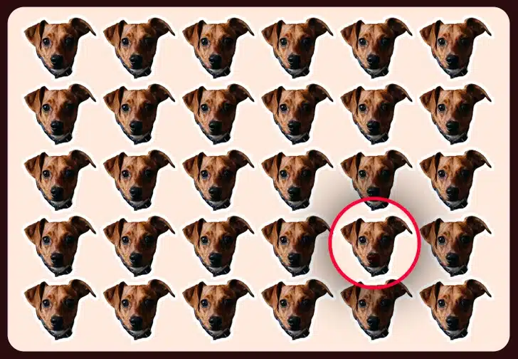 Encontre o cachorro diferente camuflado no padrão repetido de cachorros Desafio visual com múltiplas cabeças de cachorro marrom organizadas em padrão repetido sobre fundo bege