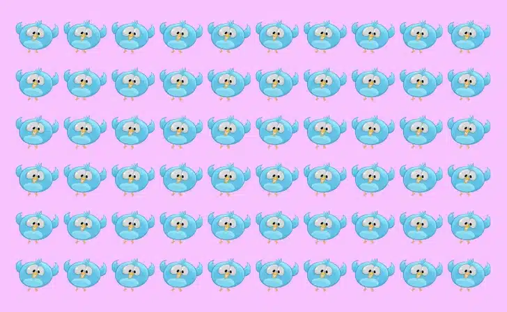 Desafio visual com várias figuras de pássaros-azuis em padrão sobre um fundo rosa