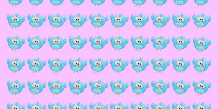 Desafio visual com várias figuras de pássaros-azuis em padrão sobre um fundo rosa