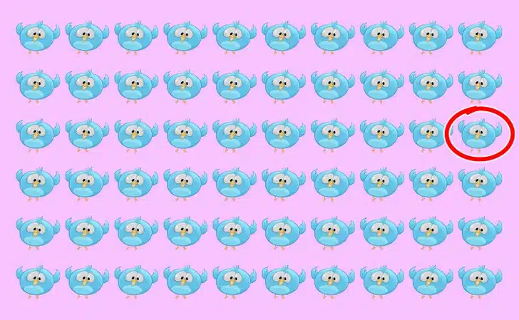 Desafio visual com várias figuras de pássaros-azuis em padrão sobre um fundo rosa