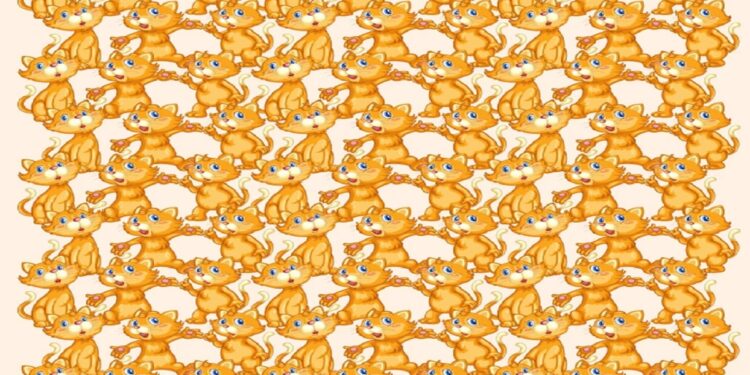 Teste visual com vários gatos laranja desenhados, todos iguais, exceto um com uma pequena diferença.