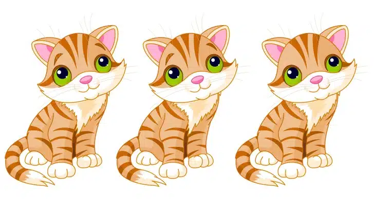 Teste visual com três gatinhos laranja em estilo desenho animado, sentados e olhando para frente com olhos verdes grandes.