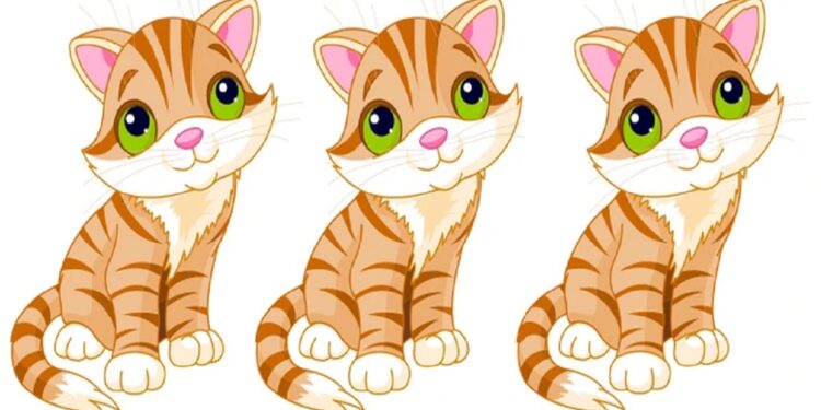 Teste visual com três gatinhos laranja em estilo desenho animado, sentados e olhando para frente com olhos verdes grandes.