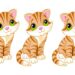 Teste visual com três gatinhos laranja em estilo desenho animado, sentados e olhando para frente com olhos verdes grandes.