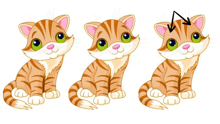 Teste visual com três gatinhos laranja em estilo desenho animado, sentados e olhando para frente com olhos verdes grandes.
