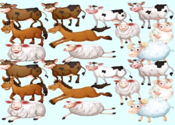 Teste visual com uma ilustração colorida de vacas, cavalos e ovelhas com expressão amigável e divertida.