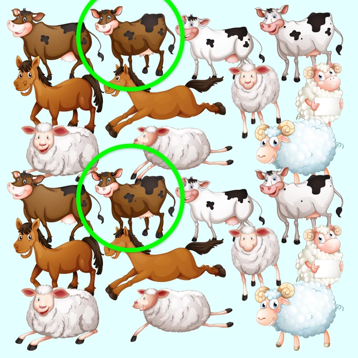 Encontre os únicos animais idênticos da fazenda. Teste visual com uma ilustração colorida de vacas, cavalos e ovelhas com expressão amigável e divertida.