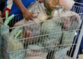 Famílias retiram cestas básicas com alimentos essenciais em ação do CRAS para apoio social em 2026