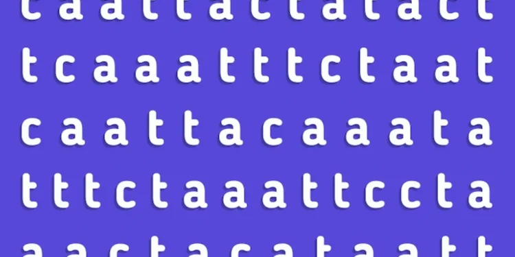 Imagem mostrando um desafio visual onde é necessário encontrar a palavra "gato" em meio a outras letras em 10 segundos.