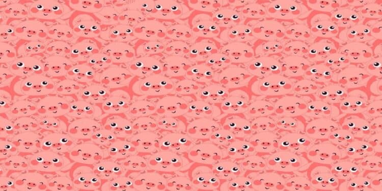 Desafio visual com um padrão repetido de rostos de porquinhos cor-de-rosa sorrindo