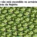 Desafio visual com várias imagens da Nojinho e o Mike Wazowski camuflado no fundo