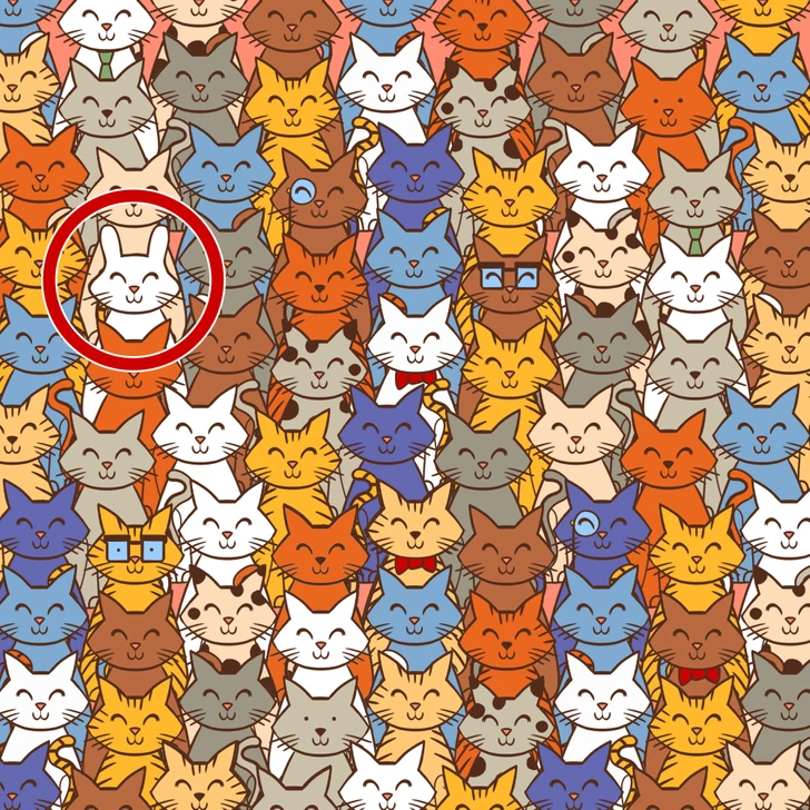 Ache o coelho escondido neste padrão colorido de gatos desenhados Desafio visual com uma ilustração com vários gatos desenhados em estilo animado, coloridos em padrão repetido