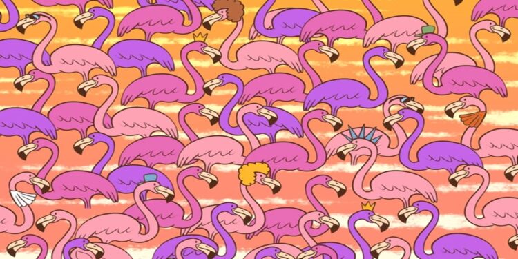 Teste visual com desenho colorido de flamingos rosa e lilás com acessórios engraçados em fundo laranja e amarelo