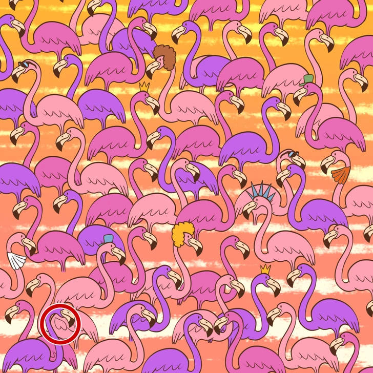 Ache o coração escondido nesta ilustração de flamingos rosa e lilás com detalhes engraçados Teste visual com desenho colorido de flamingos rosa e lilás com acessórios engraçados em fundo laranja e amarelo