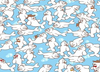 Desafio visual com focas ilustradas em um padrão repetitivo, sendo que algumas usam acessórios.