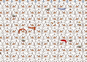 Imagem com vários bonecos de neve e um urso panda escondido entre eles, proposta de desafio visual.