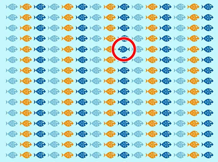 Encontre o peixe que nada em direção oposta entre vários peixes coloridos Desafio visual com desenho repetitivo de peixes nas cores azul, azul-escuro e laranja em fundo branco.