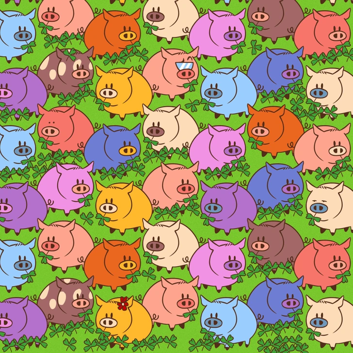 Entre tantos porquinhos coloridos, você consegue achar o trevo único com quatro folhas? Desafio visual com diversos porquinhos coloridos organizados em padrão e vários trevos espalhados pela imagem.