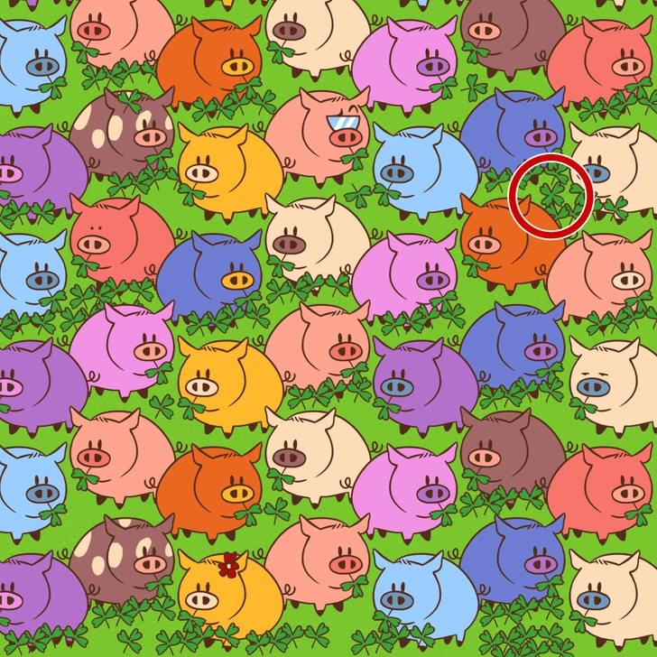 Encontre o trevo de quatro folhas entre os porquinhos coloridos. Desafio visual com diversos porquinhos coloridos organizados em padrão e vários trevos espalhados pela imagem.