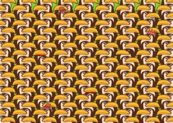 Desafio visual utilizando uma Ilustração com muitos tucanos similares, exceto um que está disfarçado como visitante