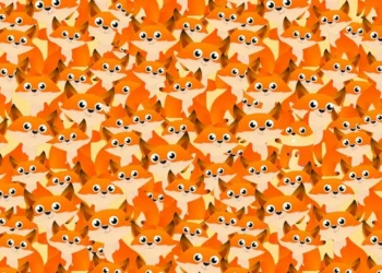 Imagem divertida de várias raposas e um esquilo escondido.