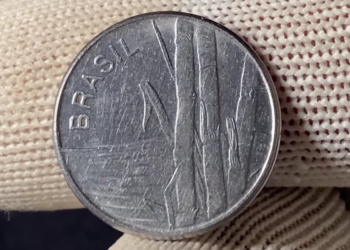 Close detalhado do reverso de uma moeda de 1 Cruzeiro, mostrando o desenho da cana-de-açúcar e a palavra "BRASIL" em relevo, sendo segurada por dedos com luvas de proteção.