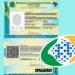 Carteira de identidade brasileira exigida pelo INSS para benefícios.