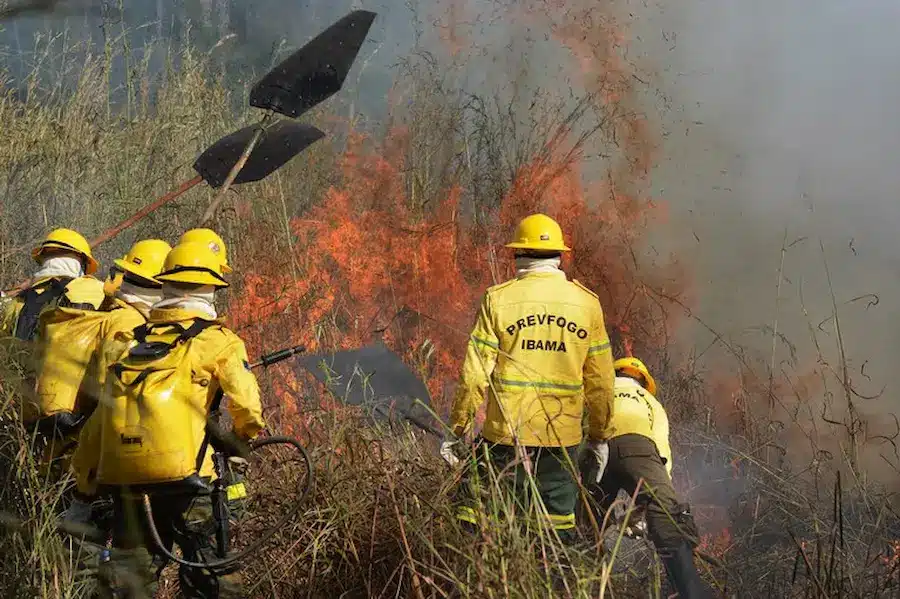 processo seletivo Ibama 2026 Equipe do IBAMA atuando no combate a incêndios, utilizando ferramentas para conter o fogo em uma área de vegetação.