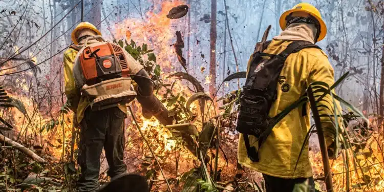 Dois bombeiros florestais com mochilas e equipamentos especializados combatendo incêndio em área de mata, em um ambiente de risco, enquanto a vegetação ao redor está pegando fogo.