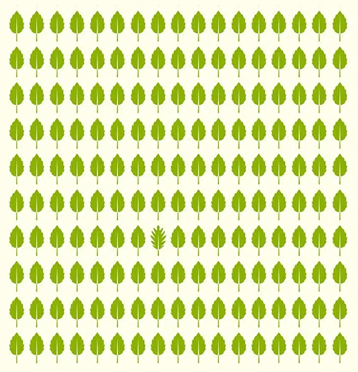 Desafio visual: encontre a folha diferente no meio de um padrão de folhas verdes. Teste visual com várias folhas verdes desenhadas em padrão repetitivo, exceto uma folha que é diferente