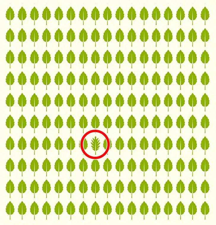 Desafio visual de folhas verdes com padrão diferente Teste visual com várias folhas verdes desenhadas em padrão repetitivo, exceto uma folha que é diferente