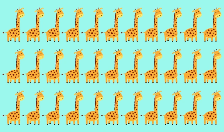 Encontre a girafa fora do padrão entre várias girafas. Teste visual com uma ilustração de várias girafas alinhadas em fileiras sobre um fundo azul.