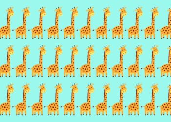 Teste visual com uma ilustração de várias girafas alinhadas em fileiras sobre um fundo azul.