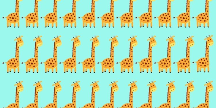 Teste visual com uma ilustração de várias girafas alinhadas em fileiras sobre um fundo azul.