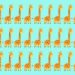 Teste visual com uma ilustração de várias girafas alinhadas em fileiras sobre um fundo azul.