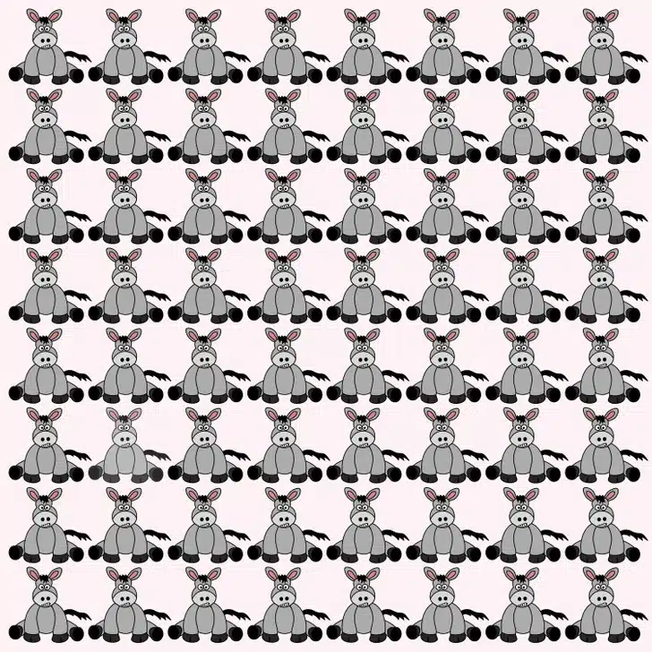 Desafio visual: encontre o burro diferente no meio de muitos burros semelhantes. Teste visual com uma imagem de vários burros cinzas, todos os iguais, exceto um.