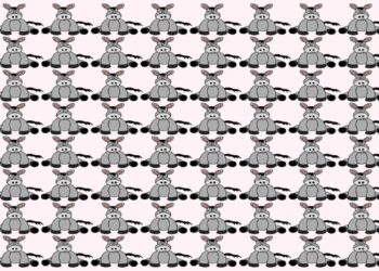 Teste visual com uma imagem de vários burros cinzas, todos os iguais, exceto um.