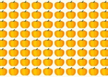 Teste visual com muitas abóboras alinhadas, uma delas com tom alaranjado mais escuro