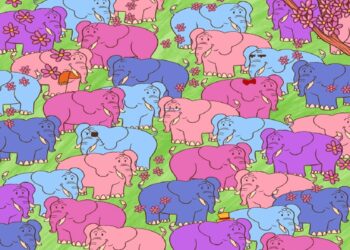 Teste visual com desenho de vários elefantes coloridos e um coração disfarçado entre eles