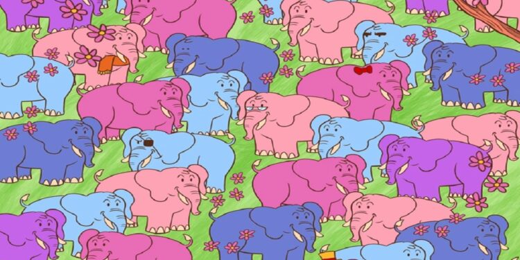 Teste visual com desenho de vários elefantes coloridos e um coração disfarçado entre eles