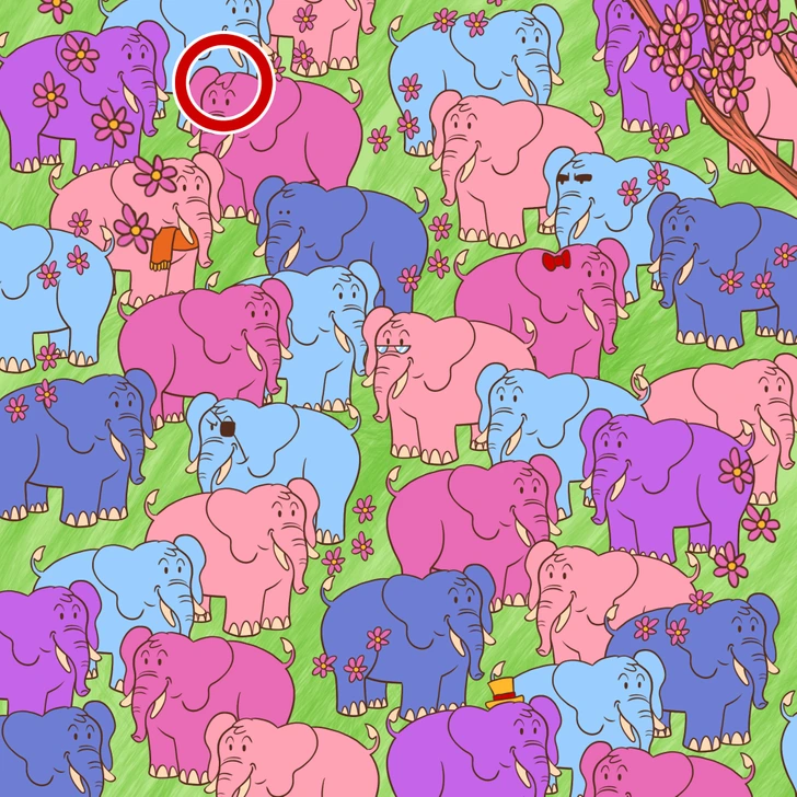 Desafio visual: consiga achar o coração oculto entre vários elefantes violetas, azuis e rosas! Teste visual com desenho de vários elefantes coloridos e um coração disfarçado entre eles