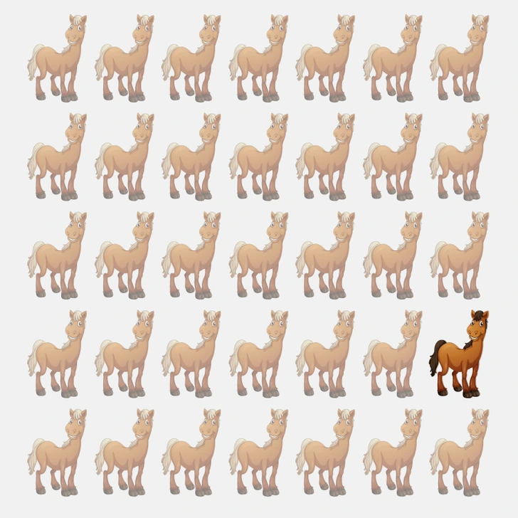 Cavalos alinhados em desafio visual Desafio visual com um grupo de cavalos organizados lado a lado, um deles com cor distinta