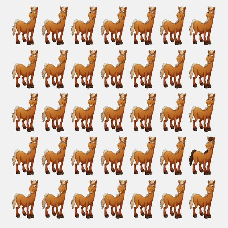 Entre vários cavalos semelhantes, um animal chama atenção por estar fora do padrão. Desafio visual com um grupo de cavalos organizados lado a lado, um deles com cor distinta