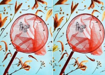 Desafio de atenção com uma rede vermelha de capturar borboletas com inseto pousado entre flores laranja sobre fundo azul