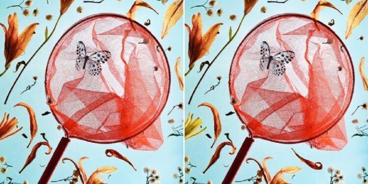 Desafio de atenção com uma rede vermelha de capturar borboletas com inseto pousado entre flores laranja sobre fundo azul