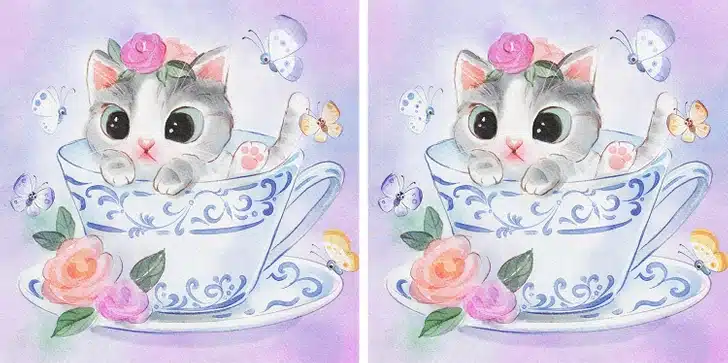 Encontre as 3 diferenças no gatinho em menos de 30 segundos e desafie sua percepção!. Teste de atenção com gatinho cinza e branco com flor na cabeça dentro de xícara decorada, borboletas ao redor