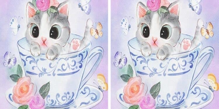 Teste de atenção com gatinho cinza e branco com flor na cabeça dentro de xícara decorada com borboletas ao redor.