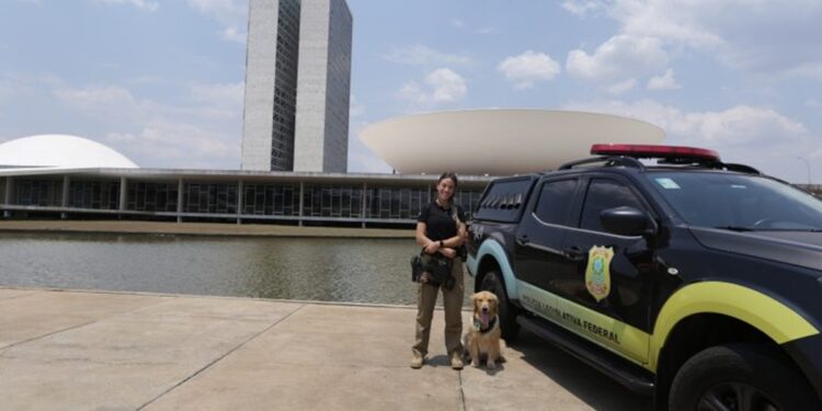 Policial legislativa federal com cão farejador ao lado de viatura em frente ao Congresso Nacional em Brasília