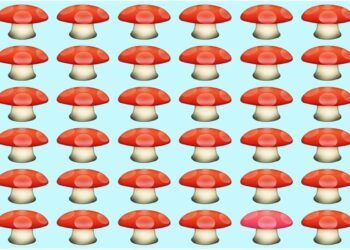 Desafio visual com vários cogumelos com chapéus vermelhos e um cogumelo diferente camuflado